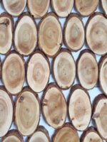 Спили сосни ( набір 10 шт.) - Основи для композицій і декору