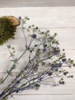 Ерингеум сухоцвіт (паковання 20 шт.) - Ерінгіум