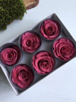 Роза стабілізована темно рожевий ( 5,5 см ) - Троянди стабілізовані
