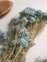 Рисовий квітка блакитного ( 50 гр ) - Рисовий квітка