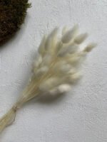 Лагурус висвітлений міні (50 шт.) - Лагурус