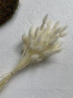 Лагурус висвітлений міні (50 шт.) - Лагурус