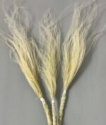 Ковила сухоцвіт , натуральний - Ковила