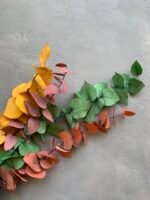 Евкаліпт Стюартіана стабілізована мікс - Евкаліпт стабілізований