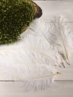 Пір'я натуральні білі 10-15 см ( упковка 5 шт ) - Пір'я