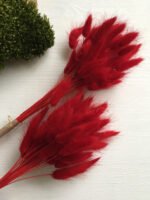 Лагурус червоний ( 100 гр ) - Лагурус