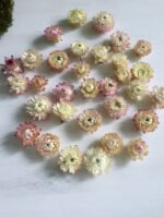 Геліхризум білий і світло рожевий ( 10 шт ) - Геліхризум