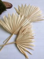 Пальмове листя віяло висвітлені ( 3 шт ) - Пальмове листя