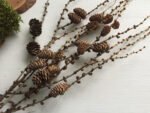 Гілка з шишками - Основи для композицій і декору
