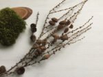 Гілка з шишками - Основи для композицій і декору