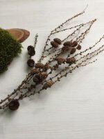 Гілка з шишками - Основи для композицій і декору