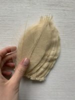 Листя скелетировані (100 шт) - Стабілізовані рослини