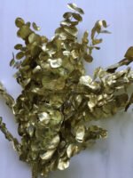 Евкаліпт цінчики золото - Стабілізовані рослини