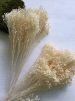 Брюмелія суха кремова (40 гр) - Брюмелія суха