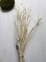 Мітсумата вибілена - Основи для композицій і декору