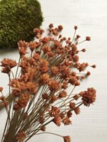 Сухоцвіт Hill Flower рожевий (100 шт.) - Квітковий Бутон