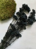 Озотамнус стабілізований графітовий - Озотамус