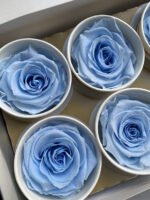 Роза 5.5 см блакитна - Троянда стабілізована 5-6 см