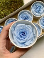Роза 5.5 см блакитна - Троянда стабілізована 5-6 см