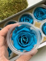 Роза 5.5 см синя - Троянда стабілізована 5-6 см
