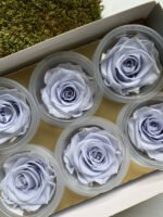 Роза 5.5 см лавандова - Троянда стабілізована 5-6 см