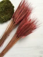 Пшениця світло-малинова 50 шт. - Пшениця