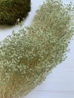 Брюмелія сухоцвіт світла бірюза 40 г - Брюмелія суха