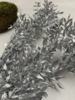 Рускус срібло з глітером - Рускус стабілізований