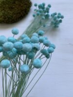 Флорал бутон блакитний 50 шт - Квітковий Бутон