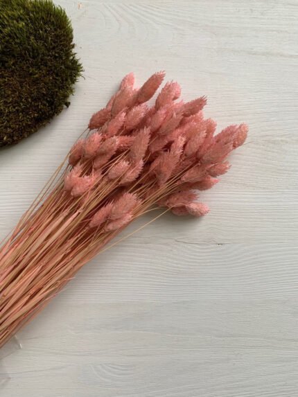 Фаляріс світло рожевий 90 гр - Фаляріс