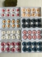 Роза Остін біла з рожевою серединкою - Троянда стабілізована півоноїдна 4-5 см