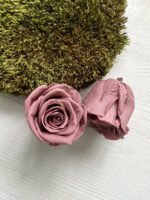 Роза рожева антична темна - Троянда стабілізована 5-6 см