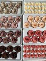 Роза рожева антична темна - Троянда стабілізована 5-6 см