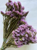 Статиця світло рожева - Статиця