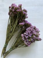 Статиця світло рожева - Статиця