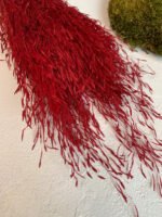 Муніграс натуральний червоний - Муніграс