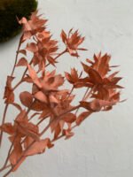 Сафлор стабілізований кораловий 8 квіточок - Сафлор