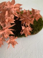 Сафлор стабілізований кораловий 8 квіточок - Сафлор