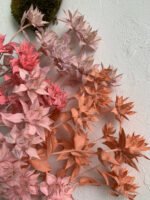 Сафлор стабілізований кораловий 8 квіточок - Сафлор