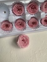 Роза Остін бузкова - Троянда стабілізована півоноїдна 4-5 см