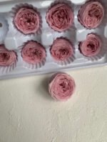 Роза Остін бузкова - Троянда стабілізована півоноїдна 4-5 см