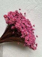 Гліксія 50 гр ( фуксія) - Гліксія