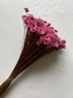 Гліксія 50 гр ( фуксія) - Гліксія