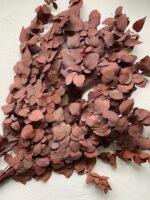 Евкаліпт Ценерея стабілізований бордо - Евкаліпт стабілізований