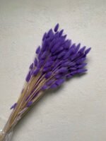 Лагурус світло-фіолетовий ( 50 шт ) - Лагурус