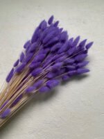 Лагурус світло-фіолетовий ( 50 шт ) - Лагурус