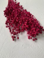 Льон малиновий - Льон