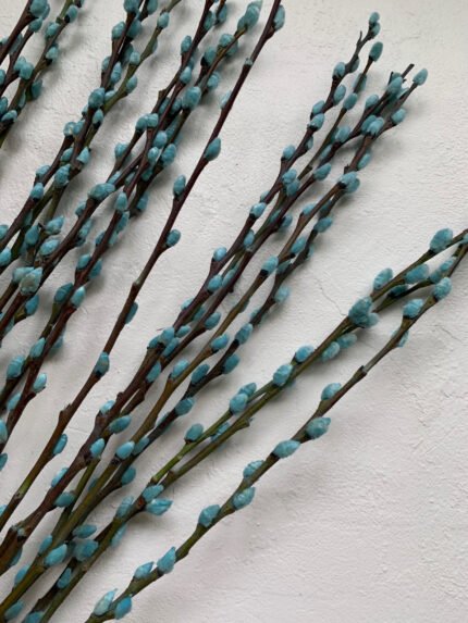 Гілки верби, блакитні ( 10 шт ) - Гілки