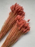 Фаляріс рожевий (90 гр) - Фаляріс