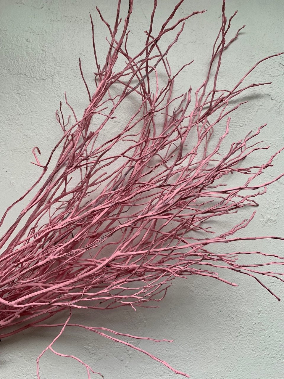 4385442782_chernichnik-rozovyj-50.jpg Гілки чорниці рожеві 50 см - Гілки